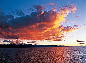 《寿司水族馆》免费登陆VRChat 虚拟欣赏美丽世界鱼类