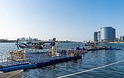 3DM速报：Remedy与腾讯将推出3A级PVE射击新作 LGD官宣xiao8无辜