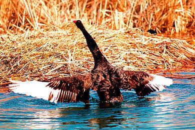 育碧科隆展哑火 舅舅：2026夏季前会一直很安静 没有什么大作宣布